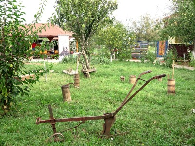 Fotografia nr 3