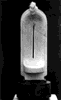 Lumina. Altar/Light. Altar