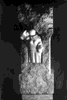 Sacrificiu / Sacrifice