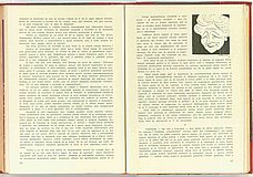 00323.1956.06.pag060-061.jpg