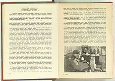 00426.1957.01.pag032-033.jpg