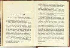 01027.1957.12.pag016-017.jpg