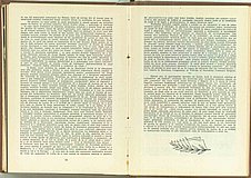 02462.1960.04.pag012-pag013.jpg