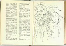 05188.1964.06.pag030-pag031.jpg