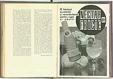 06755.1966.10.pag100-pag101.jpg