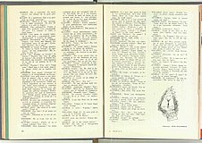06510.1966.06.pag032-pag033.jpg