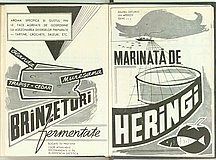 07259.1967.07.pag094-pag095.jpg