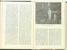 10383.1972.02.pag038-pag039.jpg