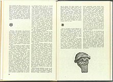 11339.1973.08.pag020-pag021.jpg
