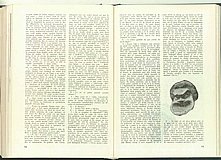 11944.1974.07.pag064-pag065.jpg