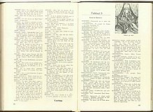 12996.1976.03.pag064-pag065.jpg