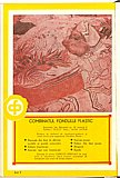 13278.1976.08.coperta4.jpg