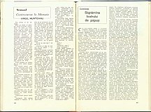 17021.1982.07-08.pag042-pag043.jpg