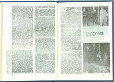 19501.1986.06.pag072-pag073.jpg