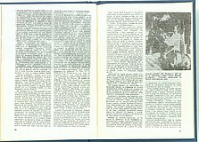 19505.1986.06.pag080-pag081.jpg