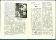 19525.1986.07-08.pag014-pag015.jpg