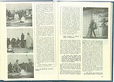 19544.1986.07-08.pag052-pag053.jpg