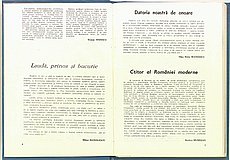 21076.1989.01.pag006-pag007.jpg